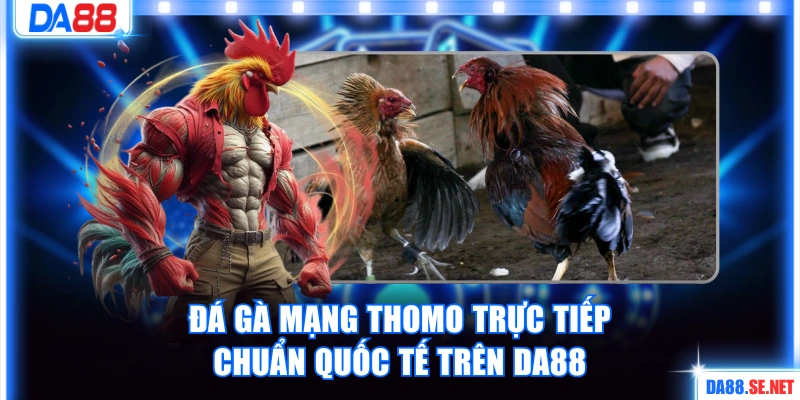 Đá gà mạng Thomo