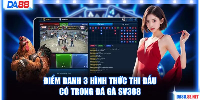 Điểm danh 3 hình thức thi đấu có trong đá gà SV388